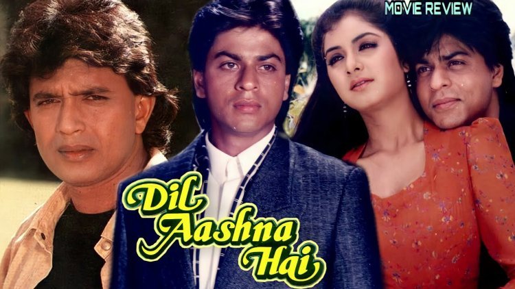 Dil Aashna Hai (1992) Hd Movie Download